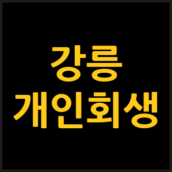 강릉시 개인회생