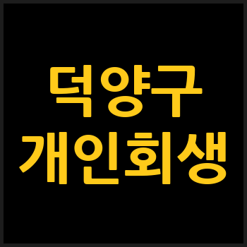 고양 덕양구 개인회생