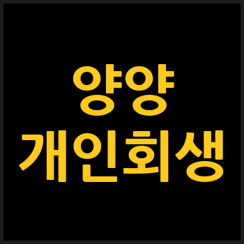 양양군 개인회생