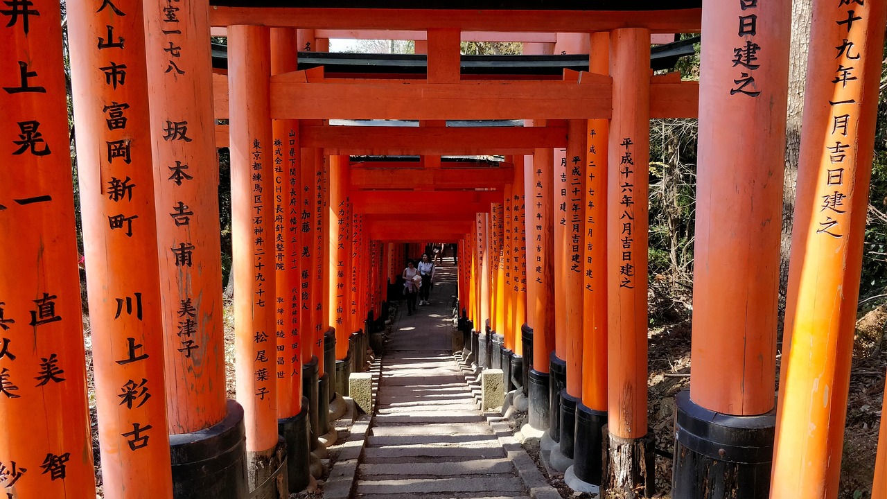 창원 성산구 포장이사 추천