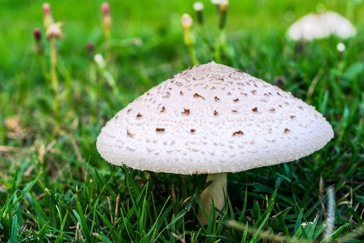 양산 포장이사 추천