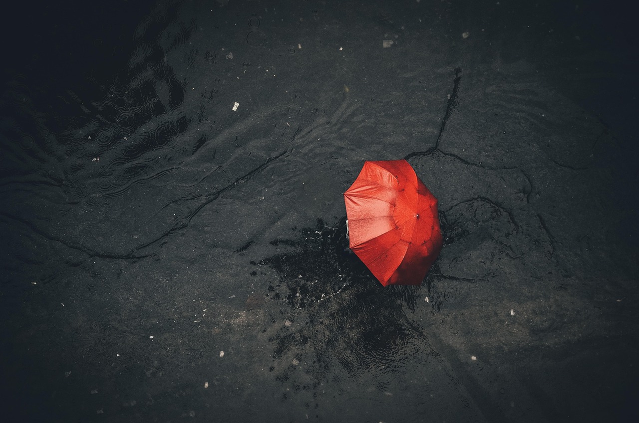 포장 보관이사 전문업체 오이사