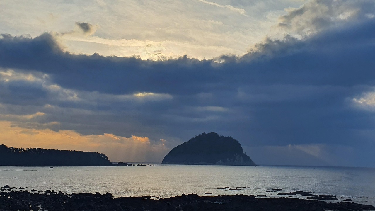 서귀포 포장이사 추천