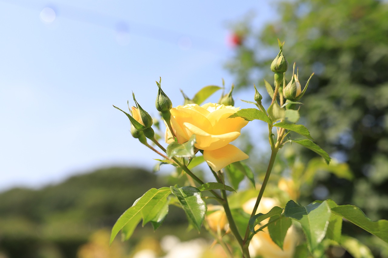 용인 포장이사 추천