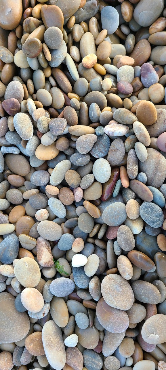 인천 연수구 포장이사 추천