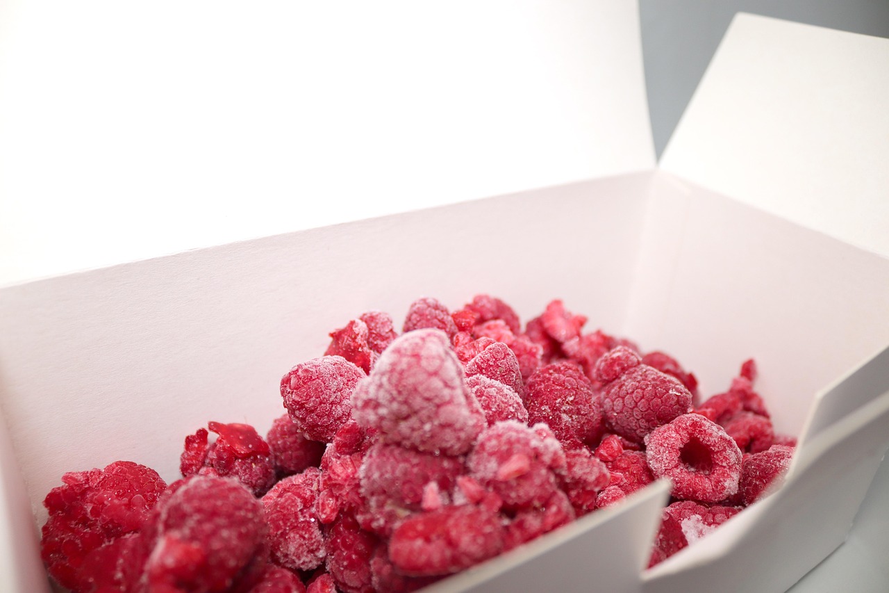 포장이사 냉동식품