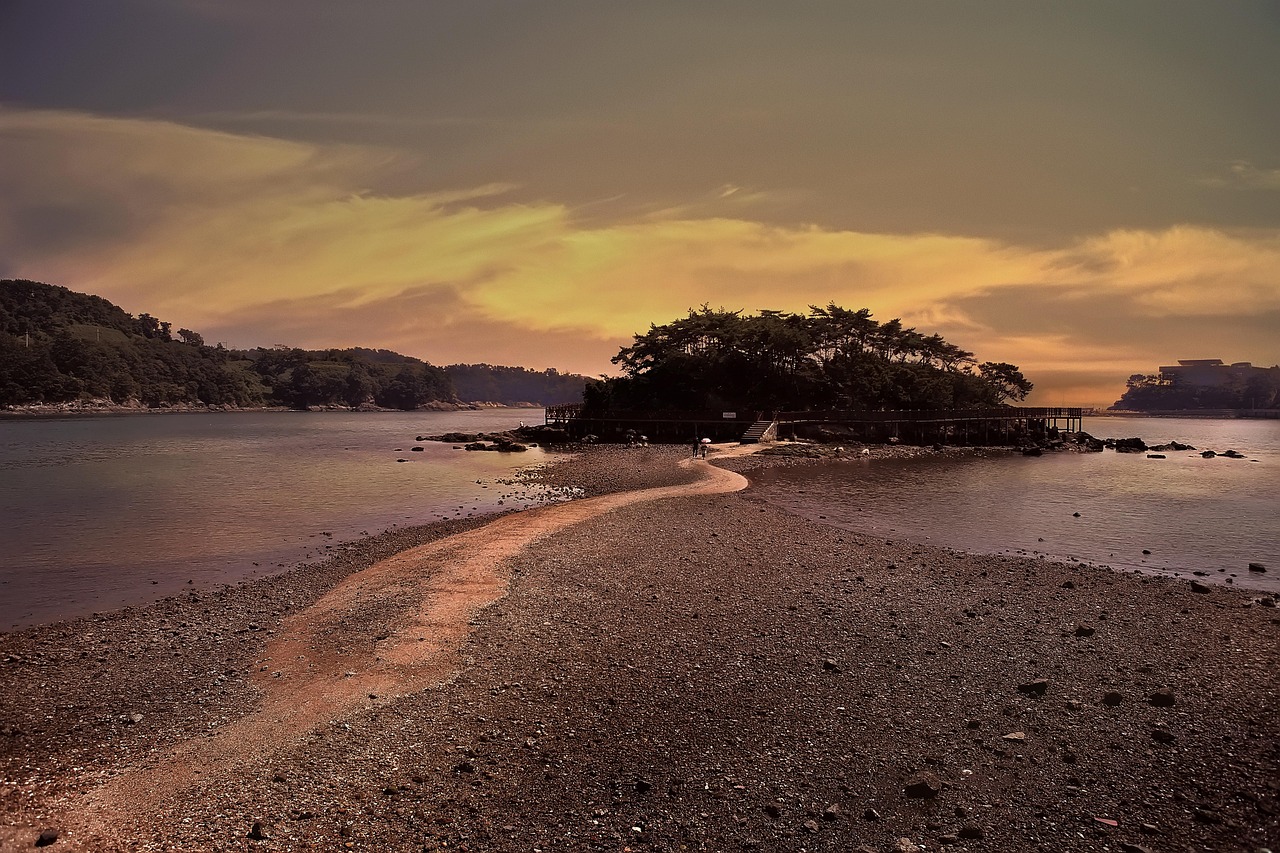 창원 진해구 포장이사 추천
