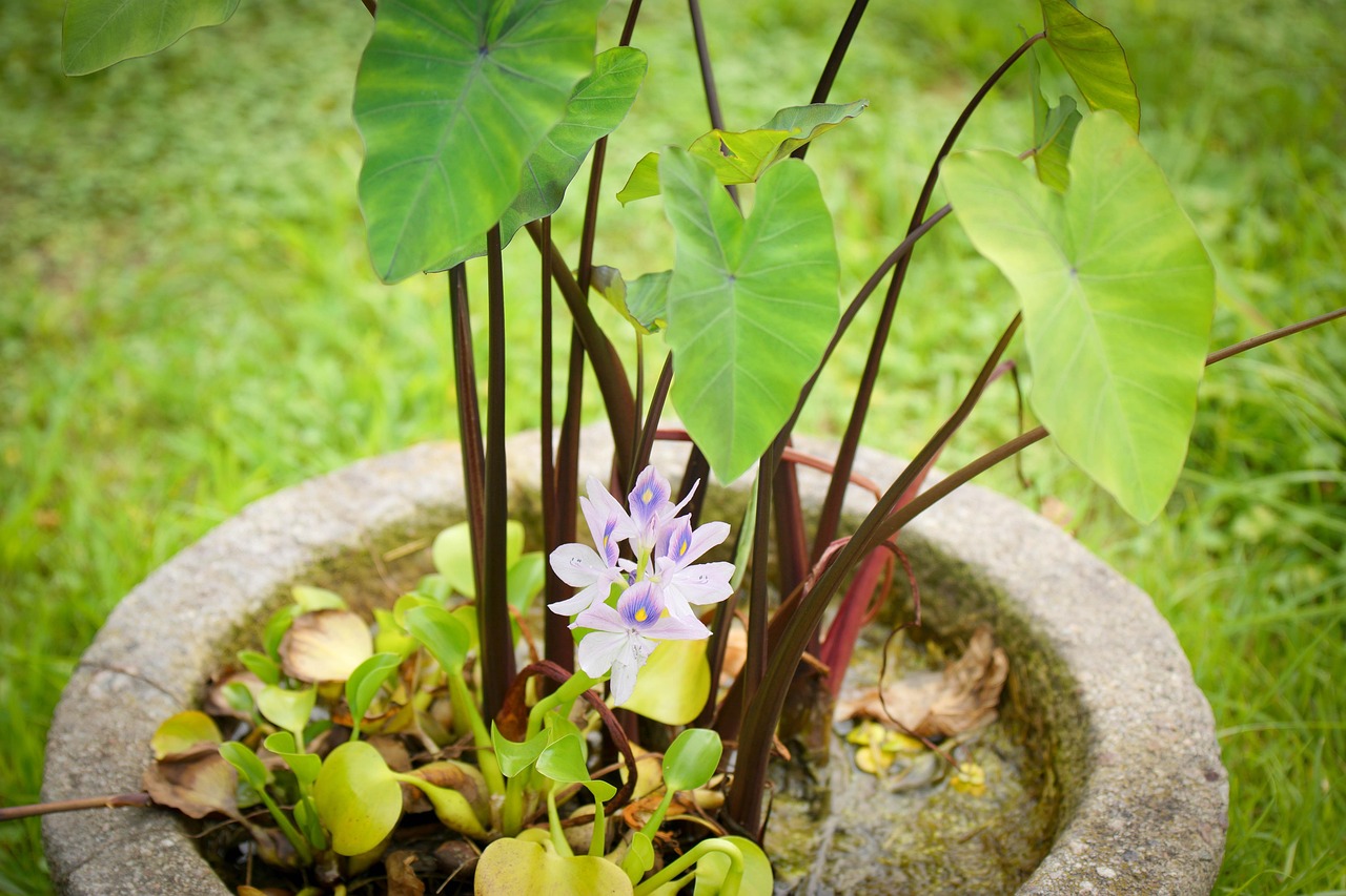 담양 포장이사 추천