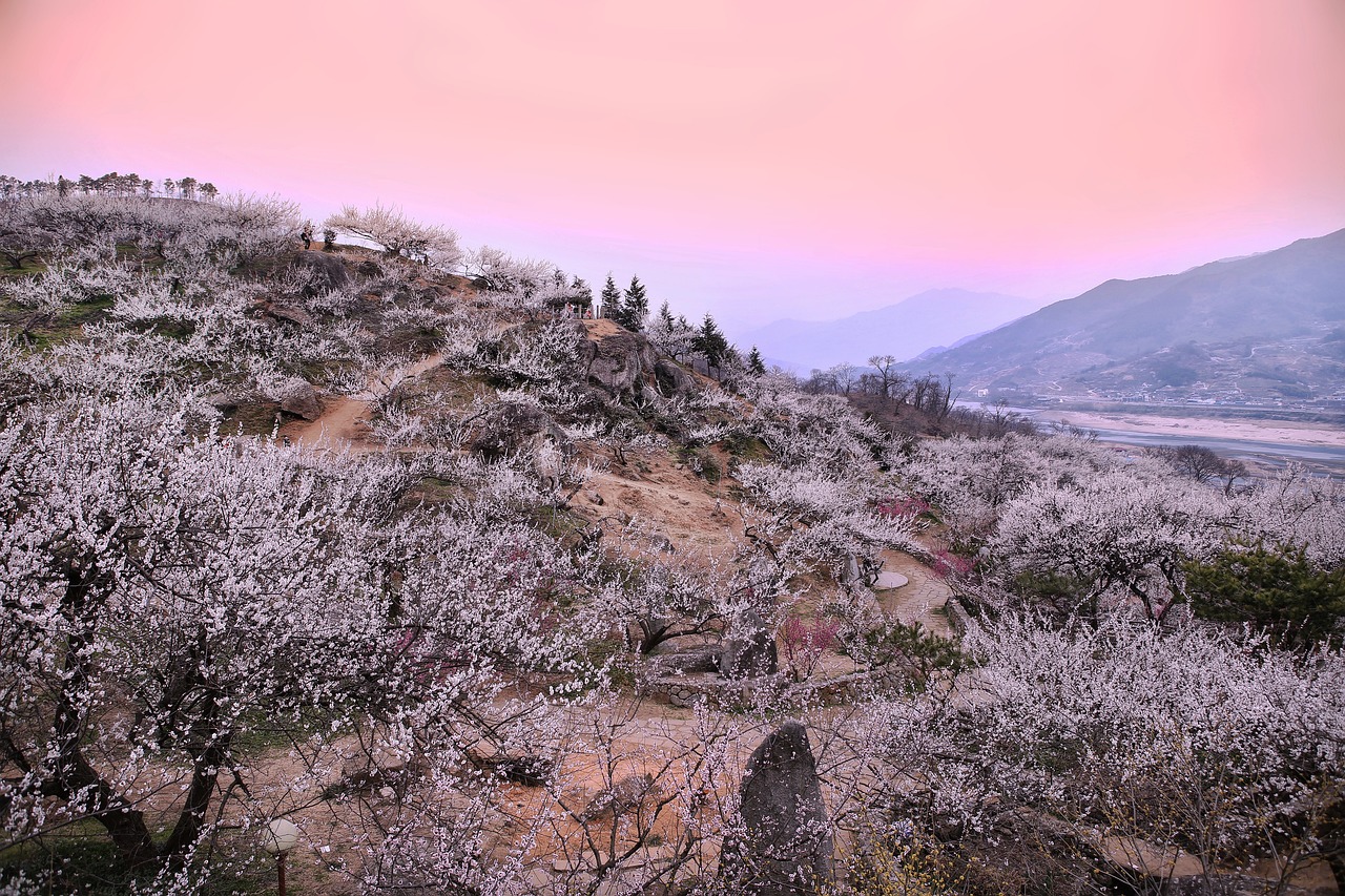 광양 포장이사 추천